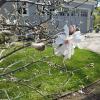 20190129_122909