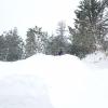 20190220_103305