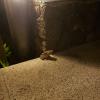 20190818_215831