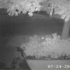 IMG-20190724-WA0001