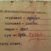 IMG-20190907-WA0005