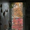 IMG-20191023-WA0001