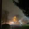IMG-20191105-WA0002