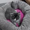 IMG-20191211-WA0000