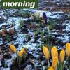 IMG-20200203-WA0001