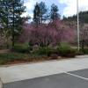 IMG-20200314-WA0002