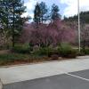 IMG-20200314-WA0003
