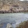 IMG-20200314-WA0004