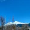 IMG-20200403-WA0002