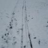 IMG-20200418-WA0002