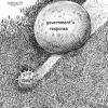 IMG-20200528-WA0003