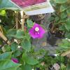 IMG-20200802-WA0000