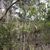 IMG-20200813-WA0001