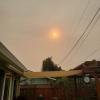 IMG-20200908-WA0001