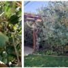 IMG-20201015-WA0000