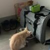 IMG-20201107-WA0007