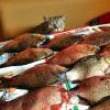 IMG-20201224-WA0001