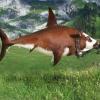 IMG-20201230-WA0003