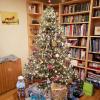 IMG-20201231-WA0002