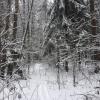 IMG-20210103-WA0000