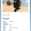 IMG-20210103-WA0006