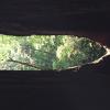 06330005