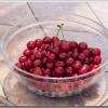 cherries3