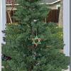 HanukkahBush2018