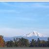 Portland