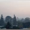 calfires