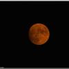 BloodyMoon
