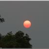 BloodySun