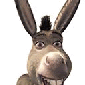 Donkey