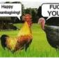 HappyThanksgiving