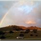 Rainbow2012-12-14-1634