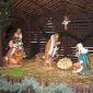 nativity_t